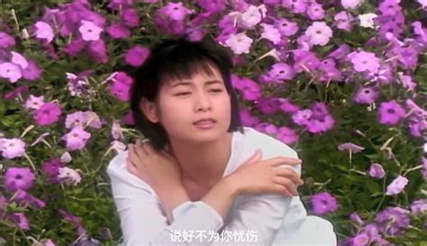 【洋哥音乐】《为爱痴狂》刘若英（1995年经典歌曲） 音乐视频 免费在线观看 爱奇艺