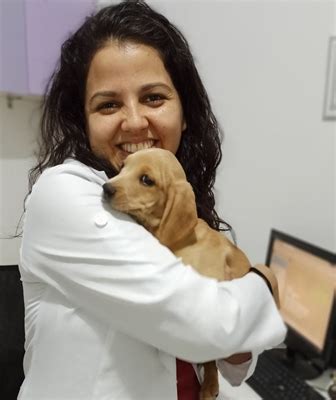 Médica veterinária de Votuporanga dá dicas de cuidados os pets