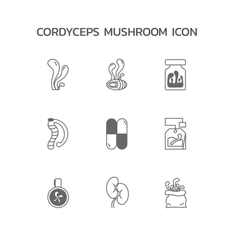 Cordyceps Mushroom Icon Design Vector Illustration Golden Medical