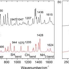 Raman Spectra Of Monoclinic A And Orthorhombic B L Cysteine