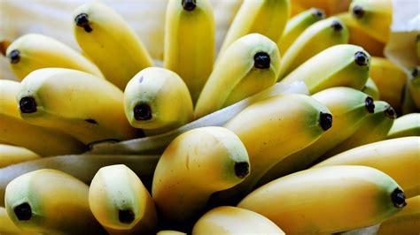 Shifting Landscape Of Ecuadorian Banana Exports Produce Report