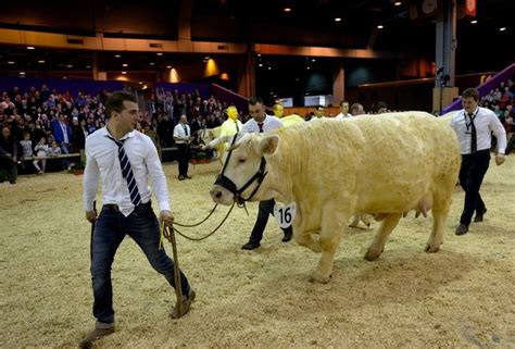 Le Salon De L Agriculture S Ouvre Ce Samedi La Plus Grande Ferme De