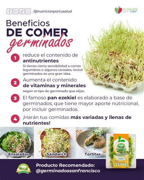 Infografia Beneficios De Los Germinados Alimentos Saludables 3331 Hot