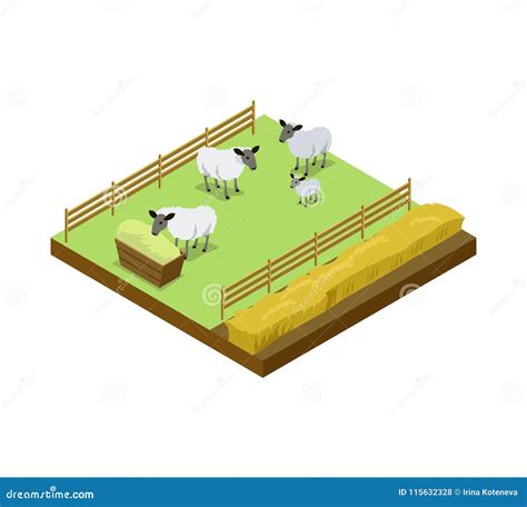 Sheep Breeding Sketch Cartoon Vector CartoonDealer 81521141