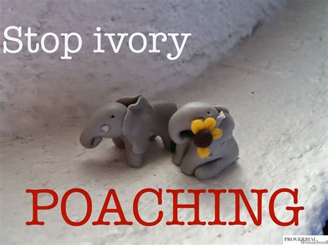 STOP Ivory Poaching