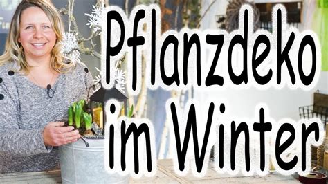 DIY Hyazinthe im Topf mit LED Laterne Winterliche Frühblüher Deko