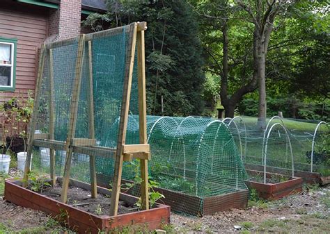 Garden Trellis Netting Professional Expert Of Trellis Gardening