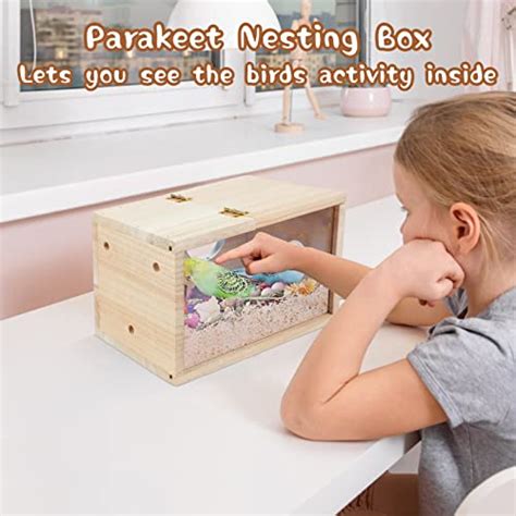 Parakeet Nest Box - Transparent design | Budgie Shop