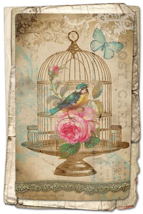 Free Printable Birdcage Art Card Vintage Birds Decoupage Vintage