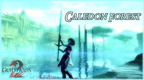 Guild Wars Caledon Forest Longplay Walkthrough K No