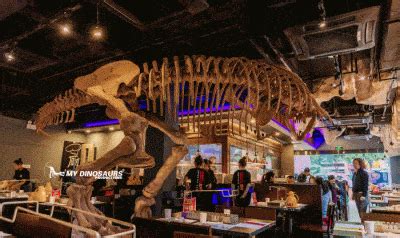 Have your own Dinosaur theme restaurant | My Dinosaurs