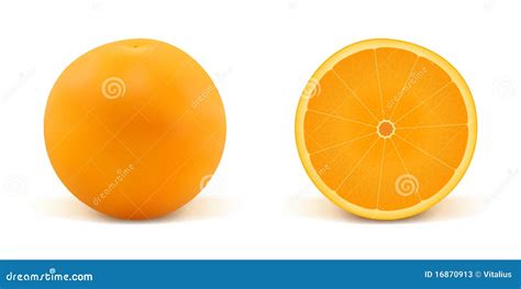 Laranja e parte da laranja ilustração do vetor. Ilustração de ...