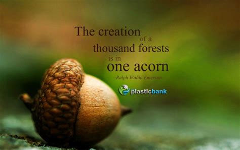 The Creation Of One Thousand Forests Is In One Acorn Emerson Quote