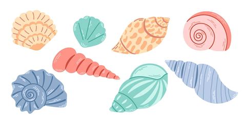 Set of colored sea shells, molluscs, scallops. Underwater shells of various shapes. Vector ...