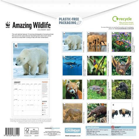 Wwf Kalender 2024 Ferne Jennine