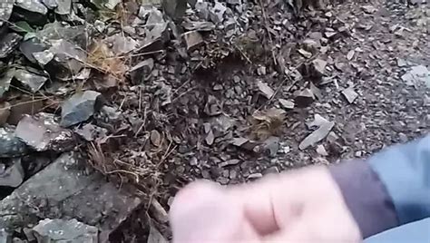 Stroking My Huge Cock On The Nature Trail Tim Explicit Gay Voyeur Amateur Porn XHamster