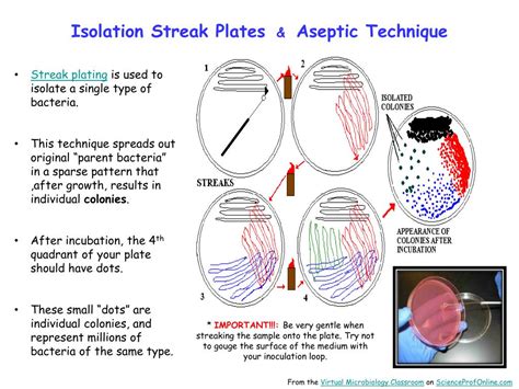 Ppt About Science Prof Online Powerpoint Resources Powerpoint