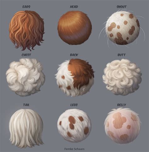 ArtStation - Fur Studies, Femke Schaars | Digital art beginner, Digital ...