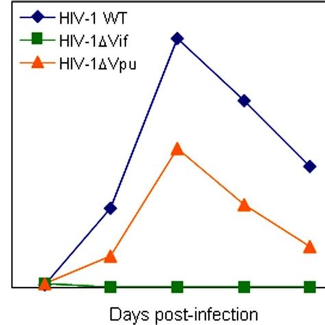 A Schema Of Replication Kinetics By Hiv Wild Type And Mutant Viruses