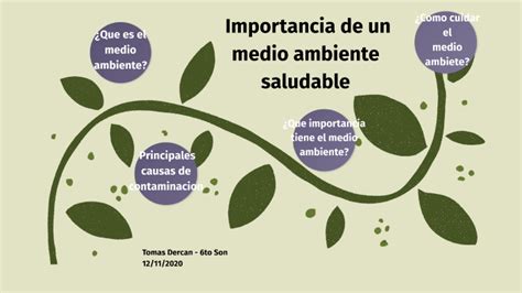 Importancia De Un Medio Ambiente Saludable By Tomas Tarascio On Prezi