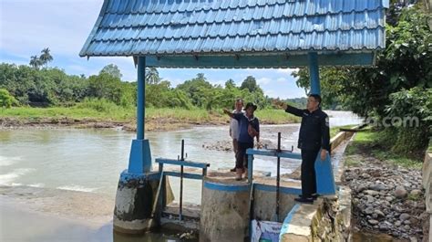 Banjir Dan Longsor Di Sumbar Rusak 7 Kawasan Irigasi Di 4 Daerah