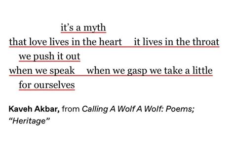 Kaveh Akbar - from Calling A Wolf A Wolf: Poems; Heritage in 2022 ...