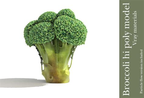 Broccoli Plant 3d Model Cgtrader