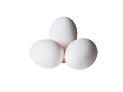 30 Gram Medium Oval Fresh Kadaknath Egg Egg Origin Chicken At Best Price In Mohali Medern