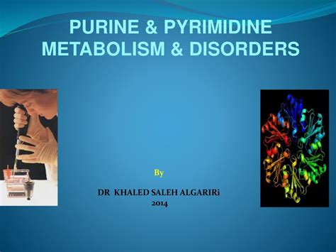 Purine & pyrimidine metabolism and disorders