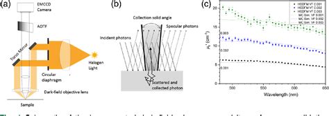 Figure 1 From Hyperspectral Dark Field Microscopy Of Human Breast