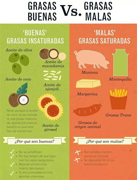 Grasas Buenas Vs Grasas Malas Consejos De Nutrici N Nutricion Y