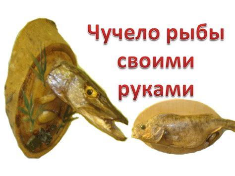 Чучело рыбы своими руками - YouTube