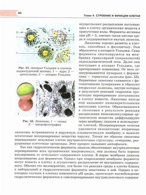 Учебник по биологии 10 класс Теремов Петросова читать онлайн