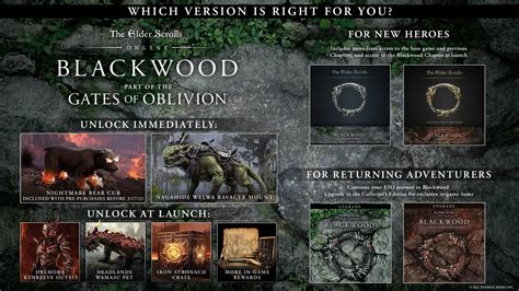 The Elder Scrolls Online Blackwood Expansion Launches June For Pc