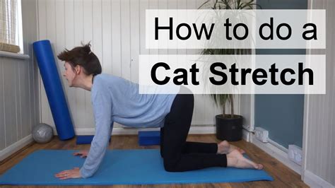 Pilates Exercises The Cat Stretch Youtube