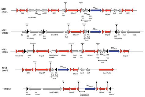 Figure 3 Emergence Of New Nonclonal Group 258 High Risk Clones Among Klebsiella Pneumoniae