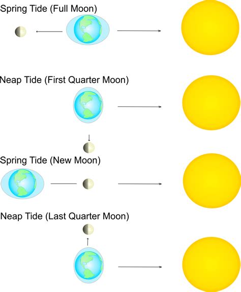 Section 4: Ocean Waves & Tides | Nitty Gritty Science