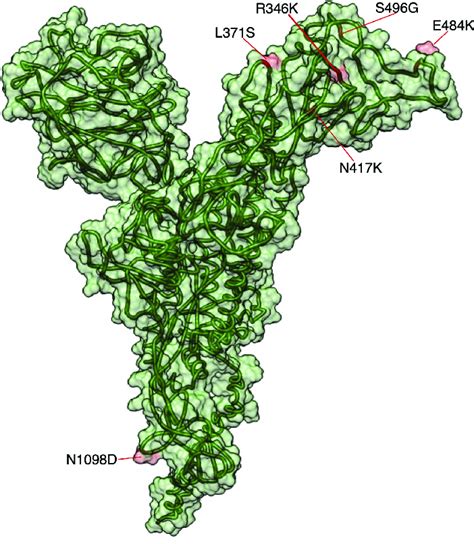 Omicron Sars Cov Spike Protein Model Sites That Will Develop Under