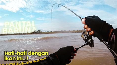 Ultralight Casting Ikan Kerapu Di Pantai Pakai Umpan Minnow Youtube