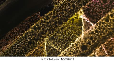 49 Scifi Purple Gold Images Stock Photos Vectors Shutterstock