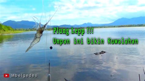 Edian Umpan Ini Begitu Gacor Untuk Nila Mancing Ikan Nila Liar