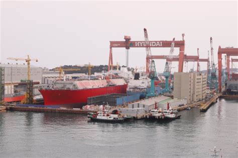 르포 여의도 3배 울산 현대조선소 세계 1위 대한민국 조선 신화 건조한다 인사이트코리아