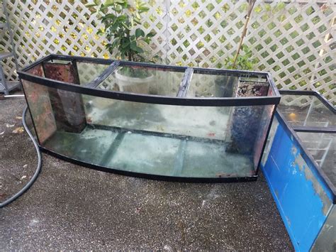 180 Gallon Bowfront Oceanic Dual Overflows And Sump NJ Reef Club