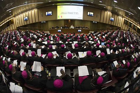 Questions That Dioceses Will Be Asked For The Synod The Southern Cross