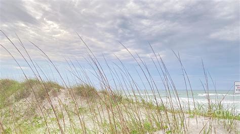 Topsail Island Dunes Photograph By Cynthia Holt Baker Pixels