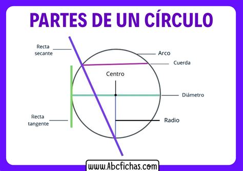 Partes De Un Circulo Abc Fichas