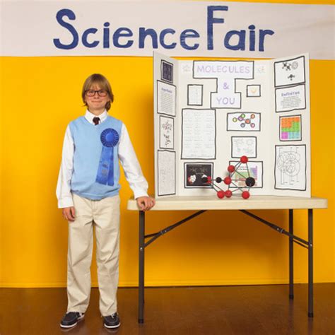 Easy One Day Middle School Science Fair Projects | Sciencing