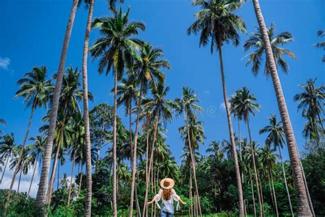 Bella Ni A En El Fondo De Un Bosque Tropical De Altos Cocoteros Y Cielo