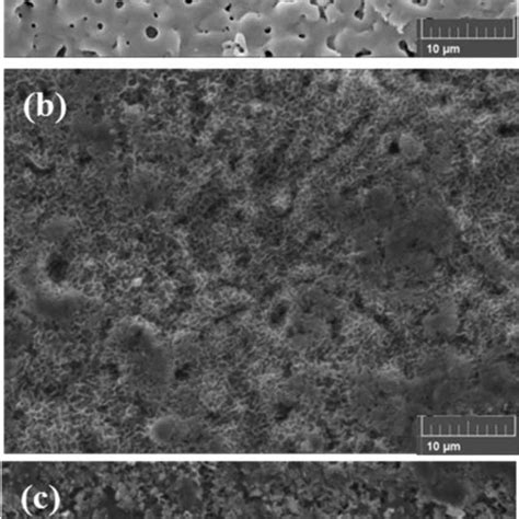 Sem Micrographs Of Peo Sample A Peo With Ldh No B And Peo With