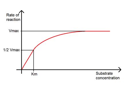 Rate Vs. Concentration Graph